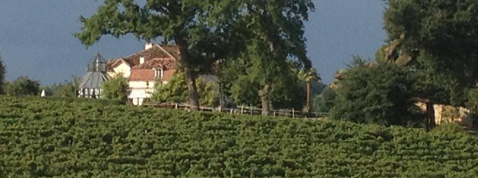 vignes.jpg